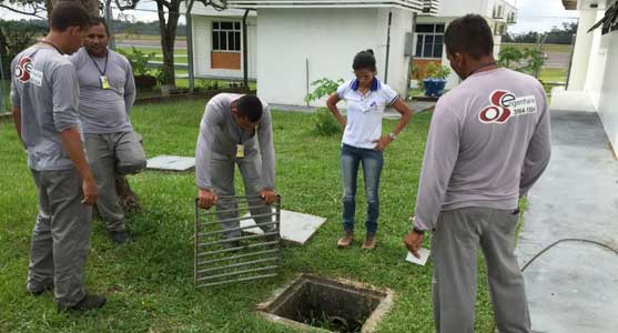 Acao-Contra-Aedes-Cruzeiro-do-Sul-2