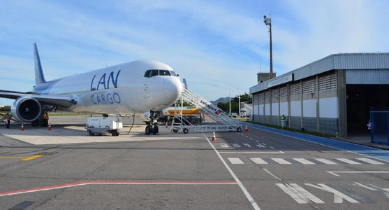 Teca-Vitoria-2
